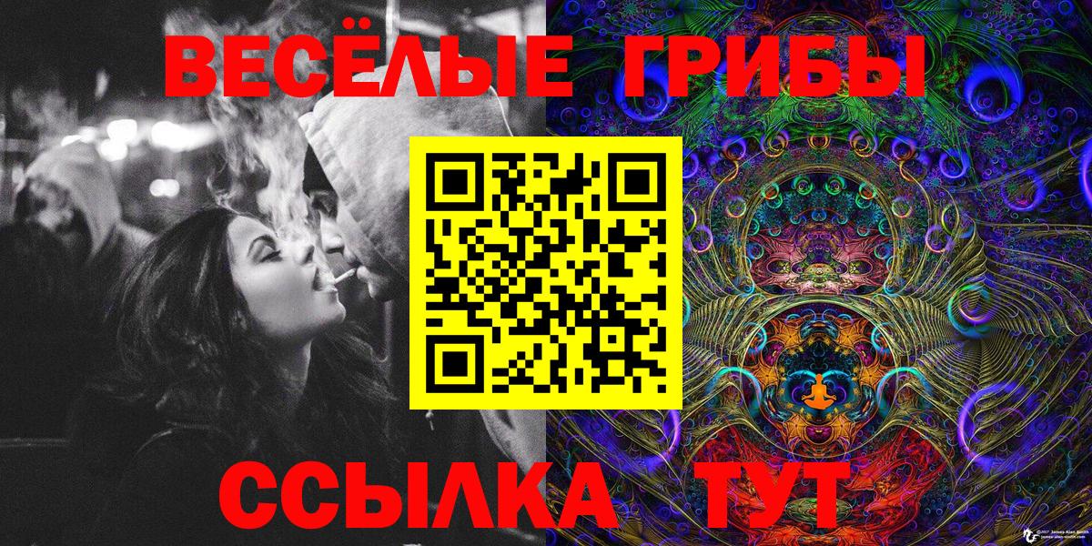 Котельники  Псилоцибиновые грибы прущие грибы  Вход с VPN  Псилоцибиновые грибы Magic Shrooms 